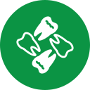 Tooth 5