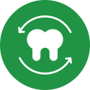 Tooth 6